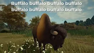 Ancient Bison Gameplay - Ecos: La Brea on Roblox
