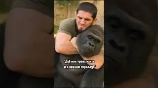 Бойцы UFC против гориллы 🦍     #горилла #ufc #мма
