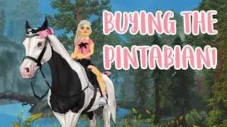 Buying the New Pintabian! // Star Stable