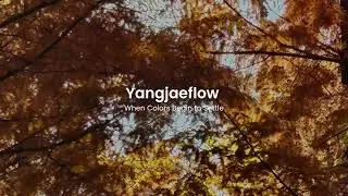 산책 명상 음악 WALKING MEDITATION | 가을 산책 When Colors Begin to Settle
