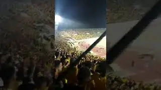 Ambiance Fatal Tigers 🔥 MAS vs Ocs 16-06-2022
