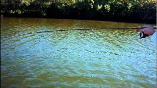 Fishing Tweed River - Evolution Jigheads & Berkley Gulp