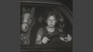 Atzen und ein Pferd
