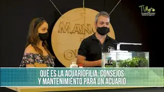 Que es la acuariofilia, consejos y mantenimiento para un acuario - TvAgro por Juan Gonzalo Angel