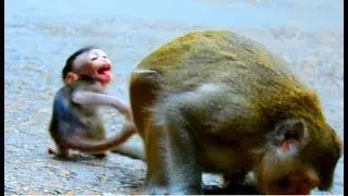 PITY POOR INNOCENT ALBA LOUDLY CRY BEHIND MUMMY // ALBA FEELING SCARE LOSS MUM ANNA