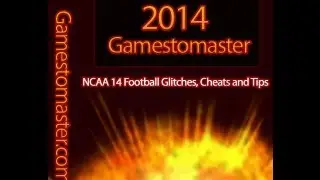 NCAA 14 Football - DT Nano Blitz Nickel Formation