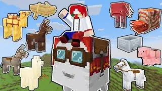 乗れるもの、全部乗るまで終われない【マイクラ・マインクラフト】