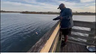 Crabbing around Crystal River Florida 