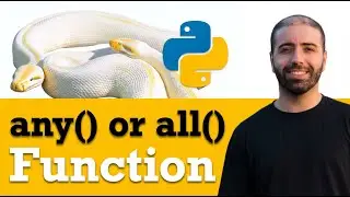 Python's ANY and ALL Functions are Simpler Than You Think!