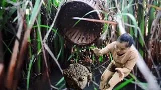 Vietnamese Village Girl Catches Frogs with Ancient Bamboo Basket &ndash; Primitive Survival Skills
