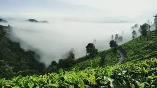 GLORY HOME STAY VAGAMON  ROOMS, COTTAGE, RESORT,OFF ROAD, ETC..... mobi:  09497326594, 099613 09748