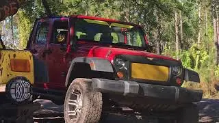Trail Safari Sundaze