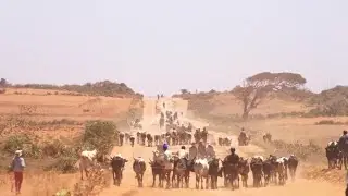 IMF: Africa sees 'most challenging' environment in years &bull; FRANCE 24 English