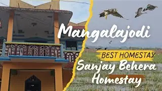 Best Budget Homestay at Mangalajodi Chilka birds paradise / Mangalajodi tour guide