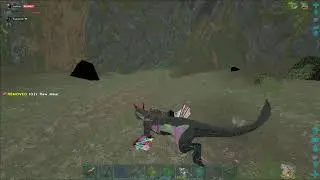 BACK TO SMALL TRIBES