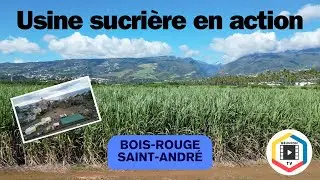 Une usine sucrière en action : Bois Rouge - Saint-André - Réunion
