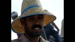 Indian Seafood Industry and BMPs in Shrimp Farming by MPEDA