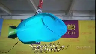 Hanging Inflatable fish With LED Lamp and Remote Control