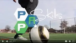 #PPASkills Video Series: Preview