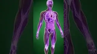 What Happens Inside Your Body When You Eat Grapes?