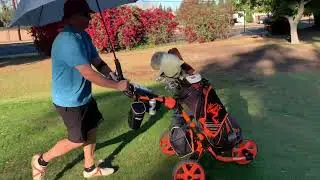 The Push Cart Mafia