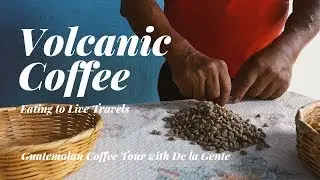 Trying Volcanic Coffee in Antigua Guatemala #volcaniccoffee #antigua #coffee