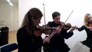 Quatuor Elys&eacute;e - Continuo Classics  (3 HD 720p)