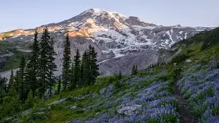 Framing and Composition, Part 3 (Landscape Photography, Chapter 4.3)