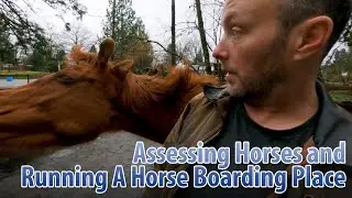 Running A Horse Boarding Facility