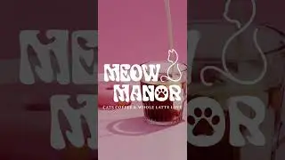 Introducing Meow Manor Cafe