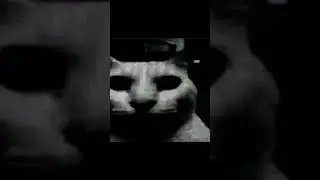 shitpost status 
