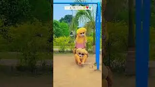 Me & My Bestie😊&hearts;️🦋 | WhatsApp Status #shorts #shortvideo #shortsfeed #youtubeshorts #pranks