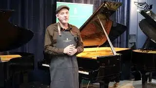 Steingraeber D-232 Concert Grand