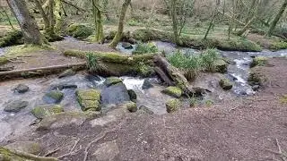 Trevaylor woods - recharge