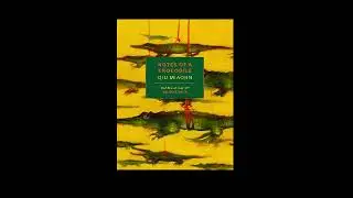 Notes of a Crocodile by Qiu Miaojin: Notebook #1 9-13