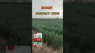 Sustainable Fertilization for Long-Term Soil Health! 🌍