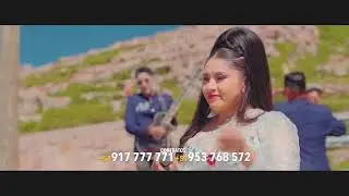 ANITA SHAMELY - CAMINO AL PUENTE  (en vivo 2025)