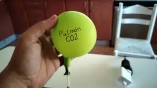 CO2 didactic model