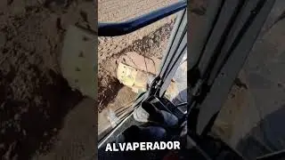 servi&ccedil;o mas satisfat&oacute;rio de patroleiro!! ALVAPERADOR!!