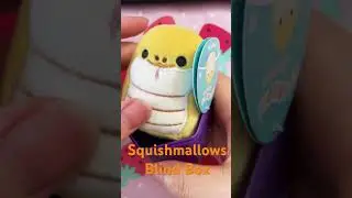 #cute #squishmallows #micromallows #blindbox