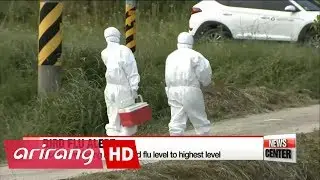 Bird flu cases reported at over a dozen farms; poultry culled as precaution