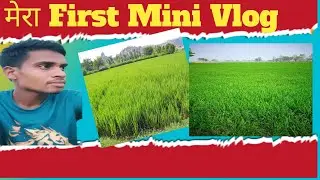 @MiniVlog