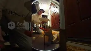 animales lindos