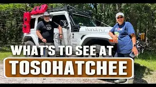 What's to see at Tosohatchee?