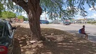 VIAGEM PARA NATAL EM DEZEMBRO DE 2023 BR 232 SALGUEIRO PE BRASIL VIDEO 14