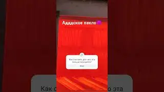 20 мая 2024 г.