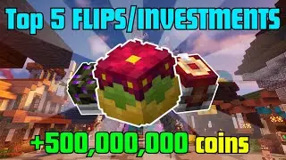 Do These 5 Flips/Investments to make MILLIONS! (Hypixel Skyblock Guide)