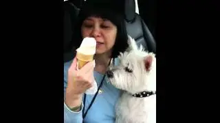 Sharing ice cream