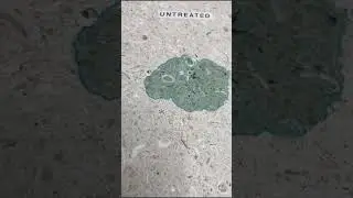 HydroShield for Tile