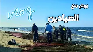 شاهد موسم صيد السردين من على شواطيء بورسعيد🐟